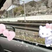 ヒメ日記 2026/02/19 07:05 投稿 める 妻天 京橋店