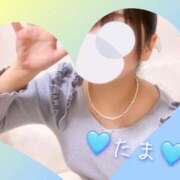 ヒメ日記 2024/12/22 18:46 投稿 たま♡ショート髪清楚系♡体験 LUXURIA（ルクスリア）