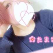 ヒメ日記 2024/12/24 10:19 投稿 たま♡ショート髪清楚系♡体験 LUXURIA（ルクスリア）