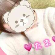 ヒメ日記 2025/02/17 12:50 投稿 たま♡ショート髪清楚系♡体験 LUXURIA（ルクスリア）