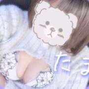 ヒメ日記 2025/03/26 12:15 投稿 たま♡ショート髪清楚系♡体験 LUXURIA（ルクスリア）