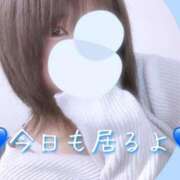 ヒメ日記 2025/03/28 12:15 投稿 たま♡ショート髪清楚系♡体験 LUXURIA（ルクスリア）