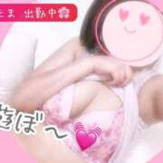 ヒメ日記 2025/04/01 11:45 投稿 たま♡ショート髪清楚系♡体験 LUXURIA（ルクスリア）