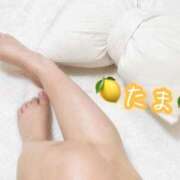 ヒメ日記 2025/04/29 21:45 投稿 たま♡ショート髪清楚系♡体験 LUXURIA（ルクスリア）