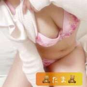 ヒメ日記 2025/05/10 11:00 投稿 たま♡ショート髪清楚系♡体験 LUXURIA（ルクスリア）