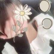 ヒメ日記 2025/10/25 20:00 投稿 たま♡ショート髪清楚系♡体験 LUXURIA（ルクスリア）