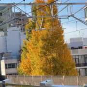 ヒメ日記 2024/12/14 12:14 投稿 ひな 小岩人妻花壇