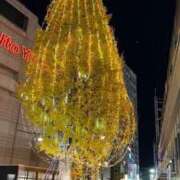 ヒメ日記 2024/12/22 19:03 投稿 ひな 小岩人妻花壇