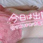 ヒメ日記 2025/04/15 11:05 投稿 ひな 小岩人妻花壇