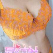 ヒメ日記 2025/11/04 19:02 投稿 ひな 小岩人妻花壇