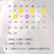 ひな 🐳6月の出勤予定です🐳 小岩人妻花壇