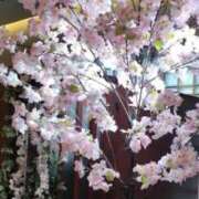 ヒメ日記 2026/04/09 00:06 投稿 エリカ 仙台痴女性感フェチ倶楽部
