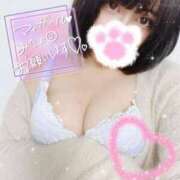 ヒメ日記 2025/04/14 23:45 投稿 アリス secretgirl大阪