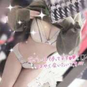 ヒメ日記 2025/08/08 01:45 投稿 アリス secretgirl大阪