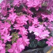 ヒメ日記 2025/05/11 08:06 投稿 ちひろ 仙台痴女性感フェチ倶楽部