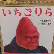 ヒメ日記 2025/09/25 10:30 投稿 ちひろ 仙台痴女性感フェチ倶楽部