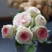 ヒメ日記 2025/08/16 13:06 投稿 あや 仙台痴女性感フェチ倶楽部