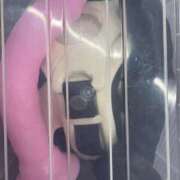 ヒメ日記 2025/08/16 13:10 投稿 あや 仙台痴女性感フェチ倶楽部