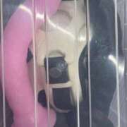 ヒメ日記 2025/11/21 16:26 投稿 あや 仙台痴女性感フェチ倶楽部