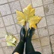 ヒメ日記 2024/12/13 09:17 投稿 橘 かざね 30代40代50代と遊ぶなら博多人妻専科24時