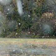 ヒメ日記 2025/03/19 08:19 投稿 橘 かざね 30代40代50代と遊ぶなら博多人妻専科24時