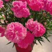 ヒメ日記 2025/05/11 07:47 投稿 橘 かざね 30代40代50代と遊ぶなら博多人妻専科24時