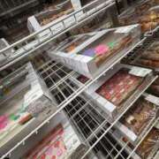 ヒメ日記 2025/10/11 19:49 投稿 橘 かざね 30代40代50代と遊ぶなら博多人妻専科24時