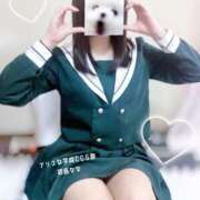 ヒメ日記 2025/01/23 19:12 投稿 初音 なな アリス女学院 日本橋校