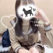 ヒメ日記 2025/02/20 17:41 投稿 初音 なな アリス女学院 日本橋校