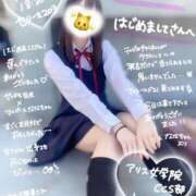 ヒメ日記 2025/03/11 19:57 投稿 初音 なな アリス女学院 日本橋校