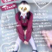 ヒメ日記 2025/04/12 16:13 投稿 初音 なな アリス女学院 日本橋校