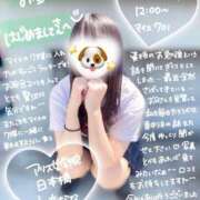 ヒメ日記 2025/05/08 15:44 投稿 初音 なな アリス女学院 日本橋校