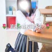 ヒメ日記 2025/09/10 12:07 投稿 初音 なな アリス女学院 日本橋校