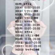 ヒメ日記 2025/12/12 12:05 投稿 初音 なな アリス女学院 日本橋校