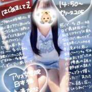 ヒメ日記 2025/12/13 02:04 投稿 初音 なな アリス女学院 日本橋校