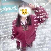 ヒメ日記 2026/01/13 11:50 投稿 初音 なな アリス女学院 日本橋校