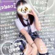 ヒメ日記 2026/01/29 20:18 投稿 初音 なな アリス女学院 日本橋校