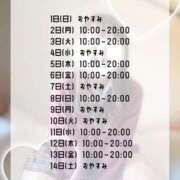 ヒメ日記 2026/02/01 12:18 投稿 初音 なな アリス女学院 日本橋校