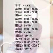 ヒメ日記 2026/02/03 12:18 投稿 初音 なな アリス女学院 日本橋校