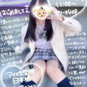 ヒメ日記 2026/02/11 13:20 投稿 初音 なな アリス女学院 日本橋校