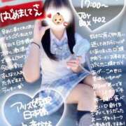 ヒメ日記 2026/02/11 19:00 投稿 初音 なな アリス女学院 日本橋校