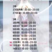 ヒメ日記 2026/02/20 17:10 投稿 初音 なな アリス女学院 日本橋校