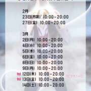 ヒメ日記 2026/02/27 12:11 投稿 初音 なな アリス女学院 日本橋校