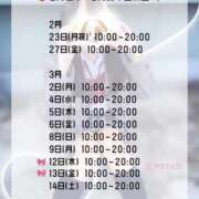 ヒメ日記 2026/03/02 12:23 投稿 初音 なな アリス女学院 日本橋校