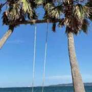 みう こんばんは😊 アネックスジャパン