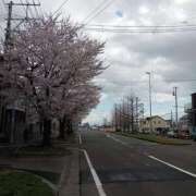 ヒメ日記 2025/04/09 11:49 投稿 こはる 熟女の風俗最終章 仙台店