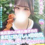 ヒメ日記 2025/07/09 10:03 投稿 のあ 大阪はまちゃん 谷九店