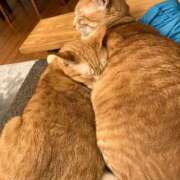 ヒメ日記 2025/02/10 21:55 投稿 吉木 久留米デリヘルセンター