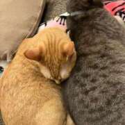 ヒメ日記 2025/02/18 22:30 投稿 吉木 久留米デリヘルセンター