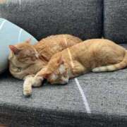 ヒメ日記 2025/03/01 09:50 投稿 吉木 久留米デリヘルセンター